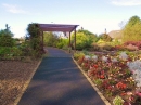 Community Gardens